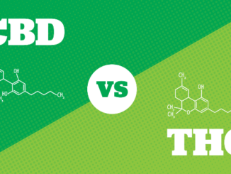 CBD vs. THC