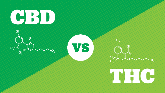 CBD vs. THC